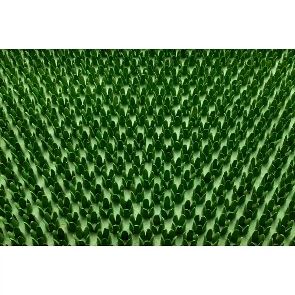 Fußmatte IMOLA verde 40x60cm